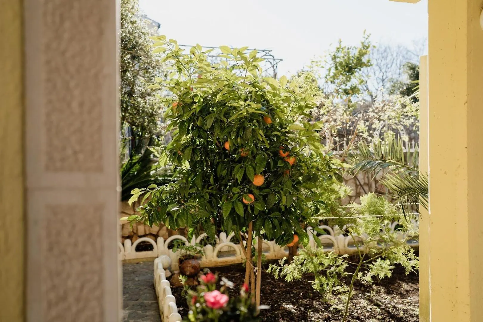 Villa Palma Mali Losinj 0*,