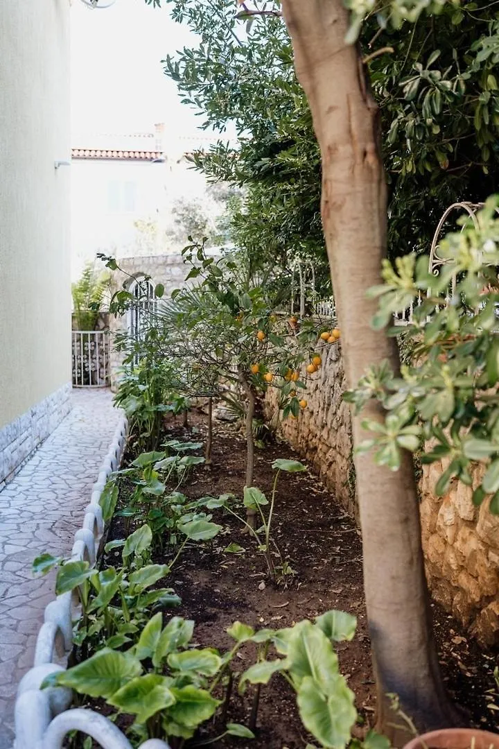 Villa Palma Mali Losinj Guest house