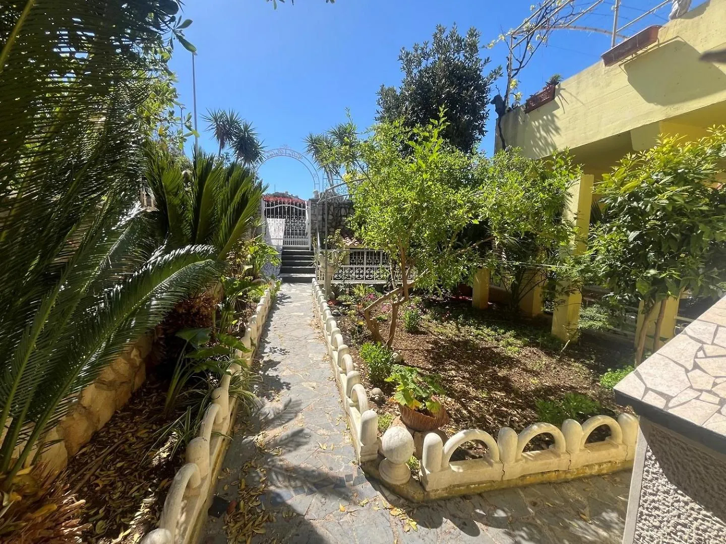 Villa Palma Mali Losinj Guest house